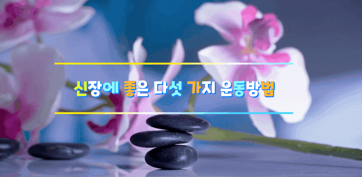 신장에 좋은 다섯 가지 운동방법 신장에 좋은 다섯 가지 운동방법