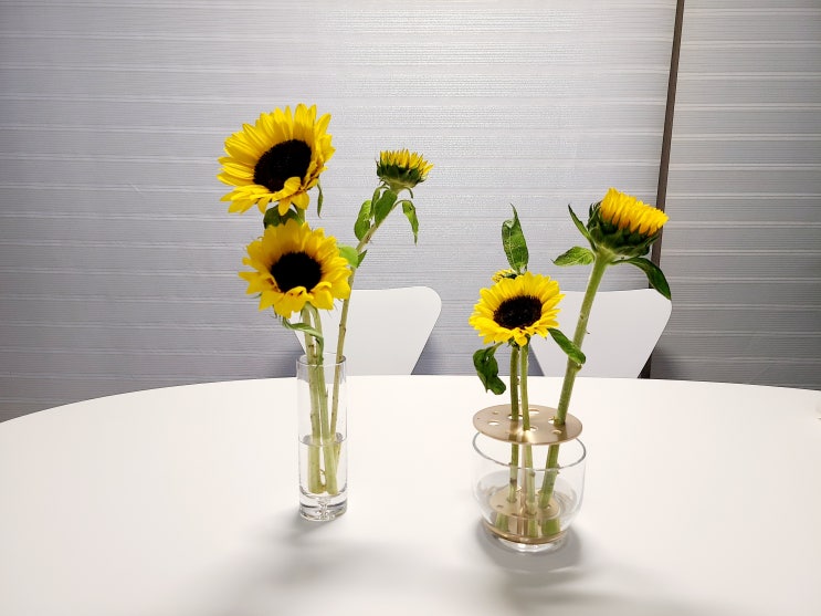  이케바나 x 블룸박스(Bloombox) 사용기