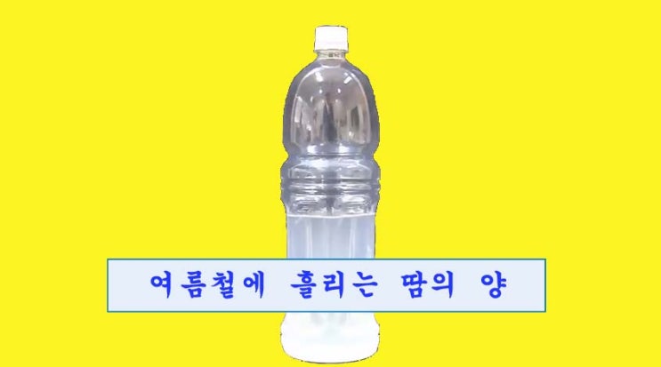  약이 되는 땀과 독이 되는 땀 - 무엇이든 물어보세요