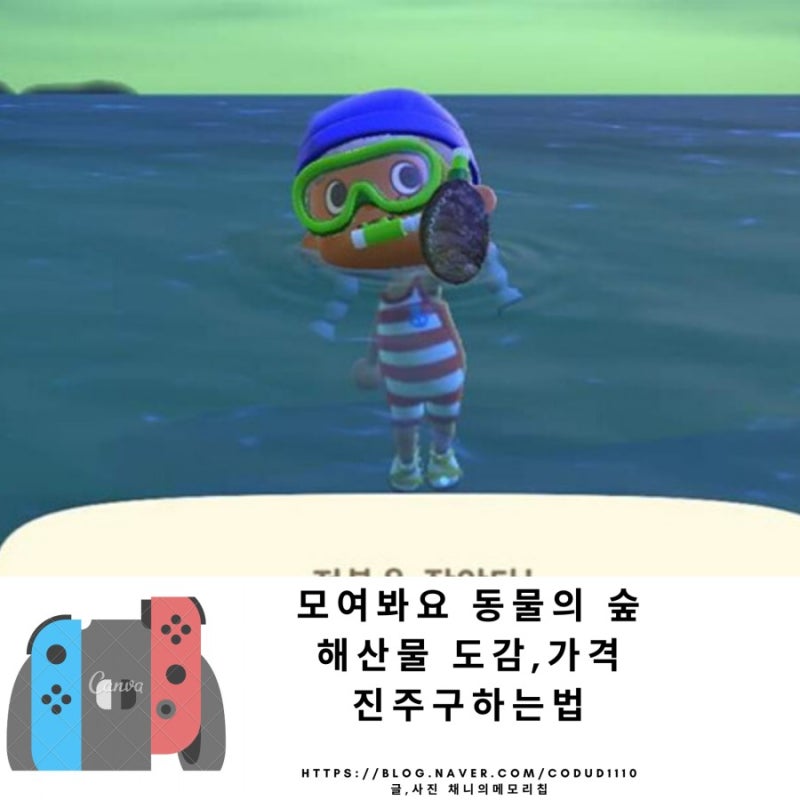 모여봐요 동물의 숲 모동숲 북반구/남반구 해산물 도감 및 채집 가격 /진주 얻는법 : 네이버 블로그