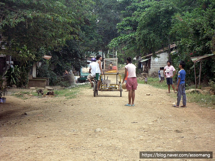 필리핀 시골 마을, 길가에 땔감 말리는 모습과 부엌