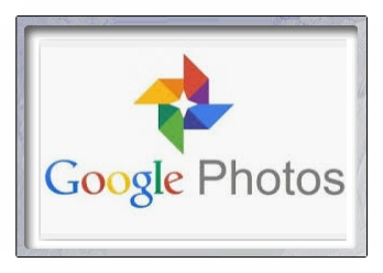  구글 포토 사진 PC 다운로드 방법