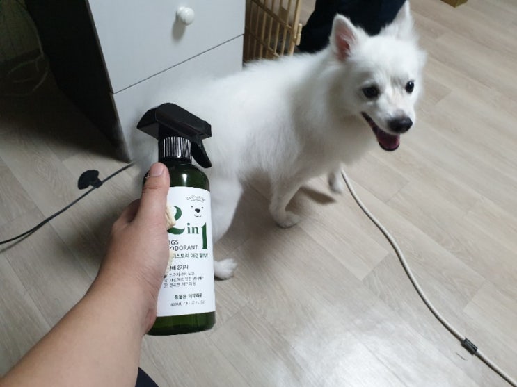 강아지탈취제 강아지스토리 애견탈취제 사용 후기 강아지탈취제 강아지스토리 애견탈취제 사용 후기
