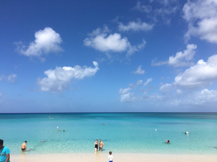 과들루프 해변: 카리브해에서 수영 배우는 아이들
