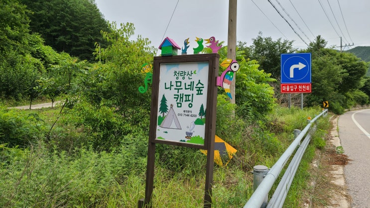  밤하늘 별헤며 힐링하는 봉화 청량산 나무네숲캠핑장 추천