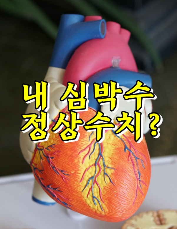  내 심박수 정상수치 얼마나 될까?