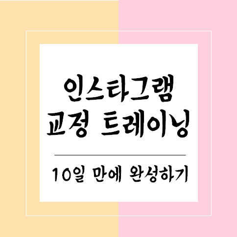  [인스타그램 마케팅 강의공지] '인스타 교정 트레이닝 10일 과정'