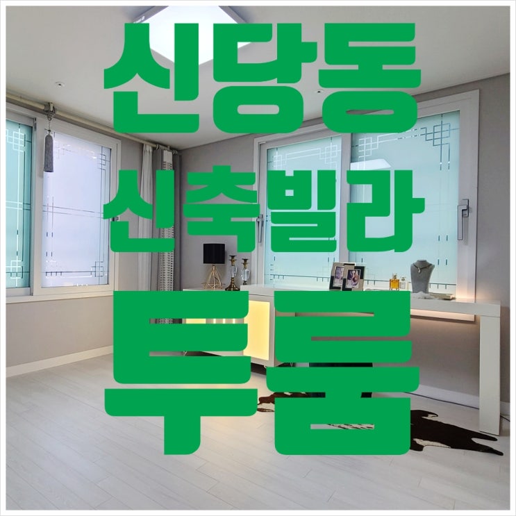  서울중구 신축빌라 신당역 인근 투룸