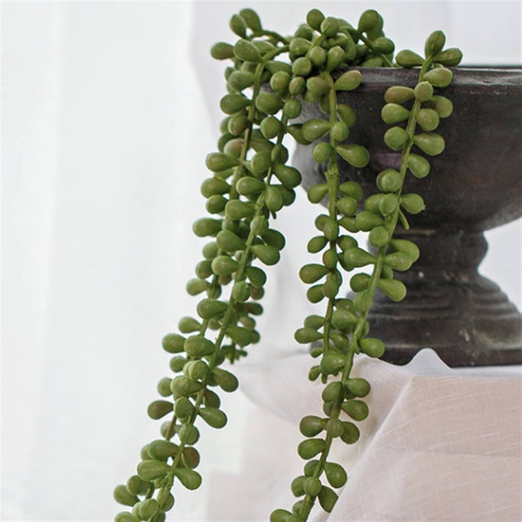 06일자 찬스 아티파티 인테리어 조화 행잉플랜트 그리너리 72cm! 한번 보시죠 06일자 찬스 아티파티 인테리어 조화 행잉플랜트 그리너리 72cm! 한번 보시죠