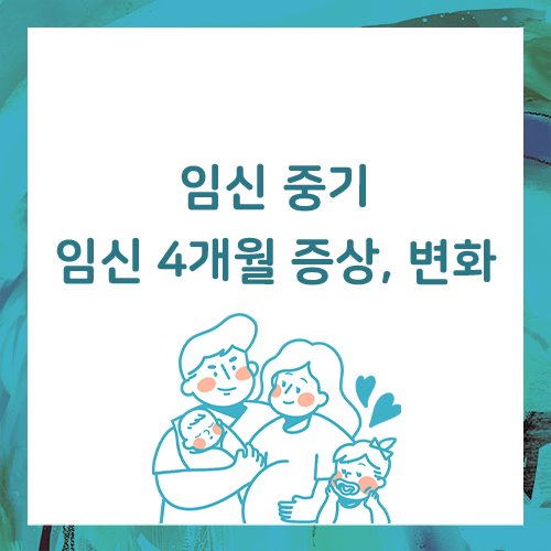  임신 4개월, 15주에는 성별 알 수 있어요.