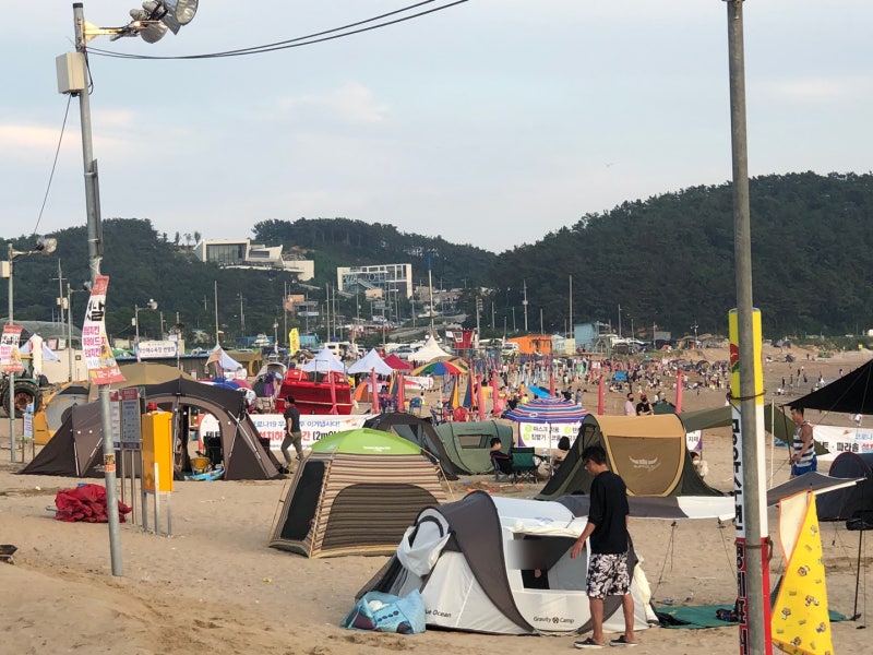 경기도 인천 왕산해수욕장 캠핑 취사 주차 화장실 등 모든 정보