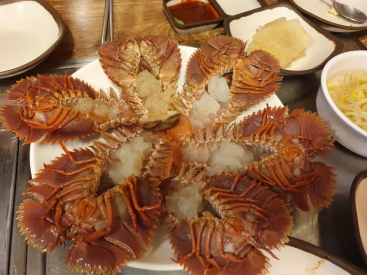 제주도 맛집 여행 : 중문 사계절 조개구이찜 / 현지인 추천 맛집 / 부채 새우 맛집 / 조개구이찜 맛집 제주도 맛집 여행 : 중문 사계절 조개구이찜 / 현지인 추천 맛집 / 부채 새우 맛집 / 조개구이찜 맛집