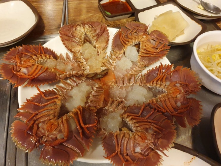 제주도 맛집 여행 : 중문 사계절 조개구이찜 / 현지인 추천 맛집 / 부채 새우 맛집 / 조개구이찜 맛집