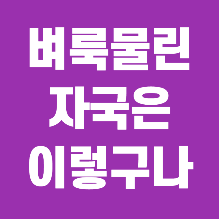  벼룩 물린자국 이렇게 생겼어요, 치료와 대처법