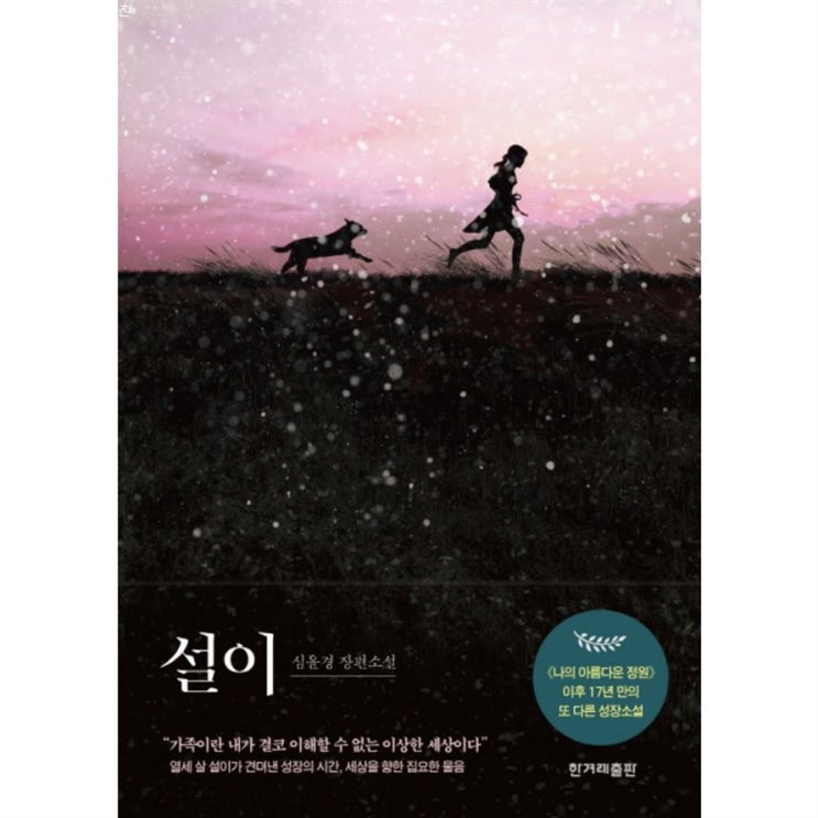 신상핫템 설이:심윤경 장편소설 가성비 훌륭
