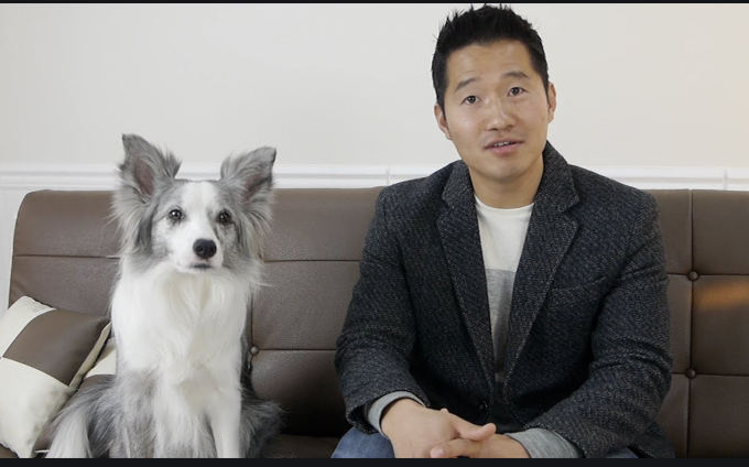  강형욱 보더콜리 논란이였던 담비 근황