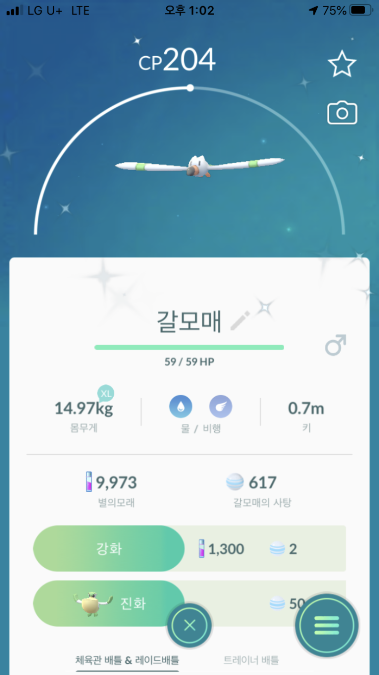  갈모매 이로치