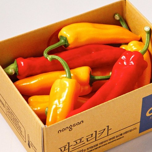  오아로 파프리카(트리벨리 파프리카) 추천