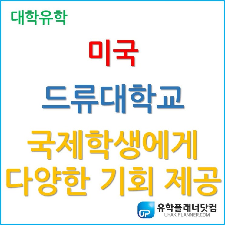  [미국 대학 유학] 국제학생이 많은 기회를 얻을 수 있는 드류대학교 Drew University