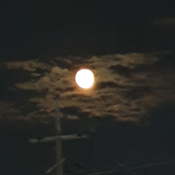  밤하늘의 보름달