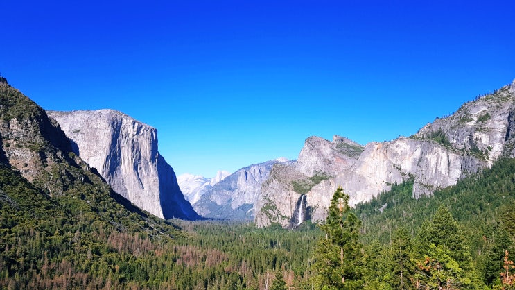  요세미티 국립공원 당일치기 | Yosemite Best 8-1. Tunnel View