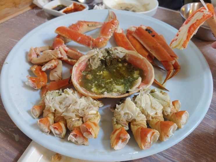  양양대게맛집 - 낙산바다회마을. 대게 진짜 맛있네!