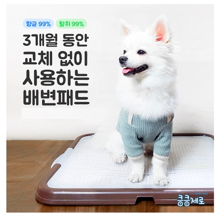  킁킁제로 3개월동안 교체없이 사용하는 배변패드 향균 탈취 99%