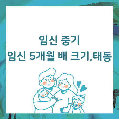  임신 5개월 배크기, 태동도 느껴져요.