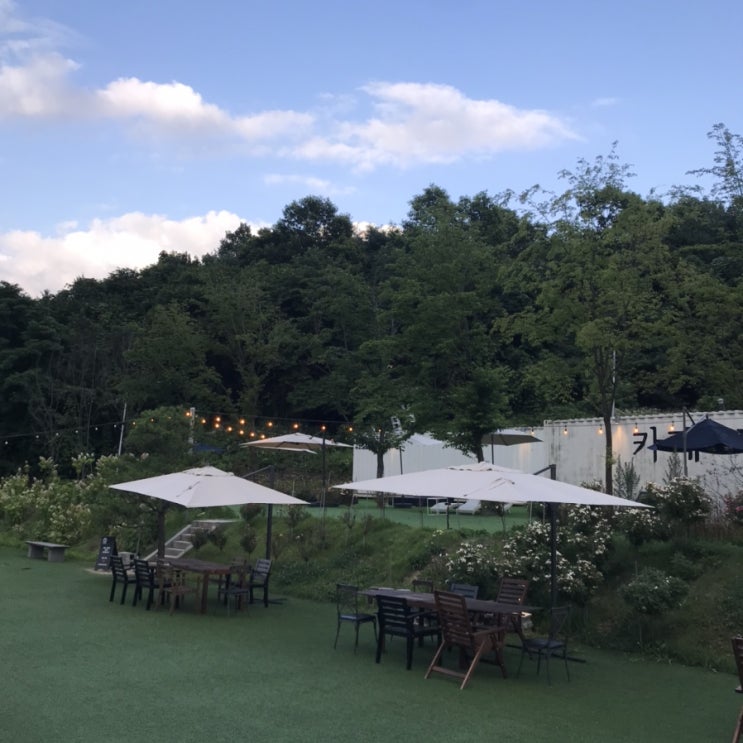  [강원도 원주시 지정면 기업도시 근처 베이커리 카페 추천: 로톤다] 날도 좋고 너도 좋았어