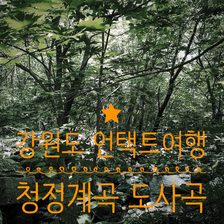  강원도 청정계곡 도사곡자연휴양림 두위봉 등산로 계곡물 마실 수 있어요