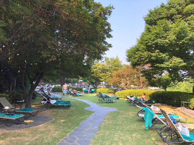  남산 그랜드 하얏트 서울 호텔 호캉스 도심 속 휴양 즐기기 - 객실, 야외 수영장, 조식 이용 후기