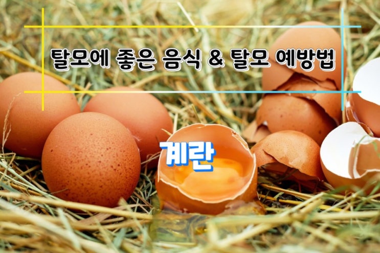탈모에 좋은 음식 & 탈모 예방법 탈모에 좋은 음식 & 탈모 예방법