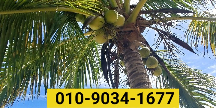  역촌동용달