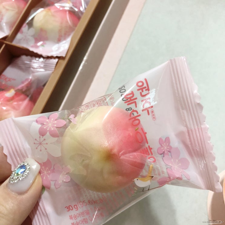  어피치 닮은 예쁘고 맛있는 원주 복숭아빵 아직 안먹어본사람 있어요?