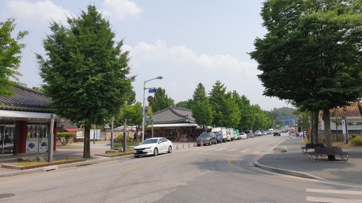  원형탈모 예방과 치료