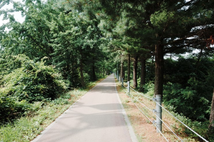 춘천 의암호 스카이워크 자전거 길 따라 당일치기 라이딩 코스