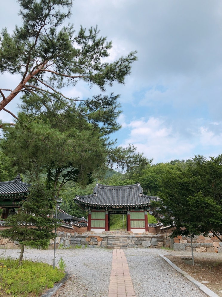  영월 보덕사 나들이 세심다원 여름엔 옛날팥빙수 이집이맛집