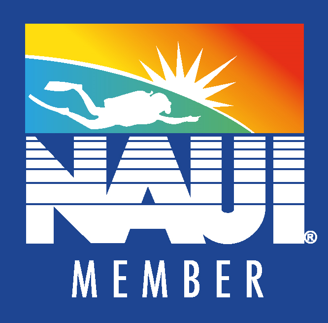  NAUI SCUBA 나우이 스쿠버 자격증 재발급