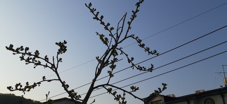  블로그 시작 1달이 넘어갔는데, 체험단 안 해봤다면 꼭 해야만 하는 이유 3가지