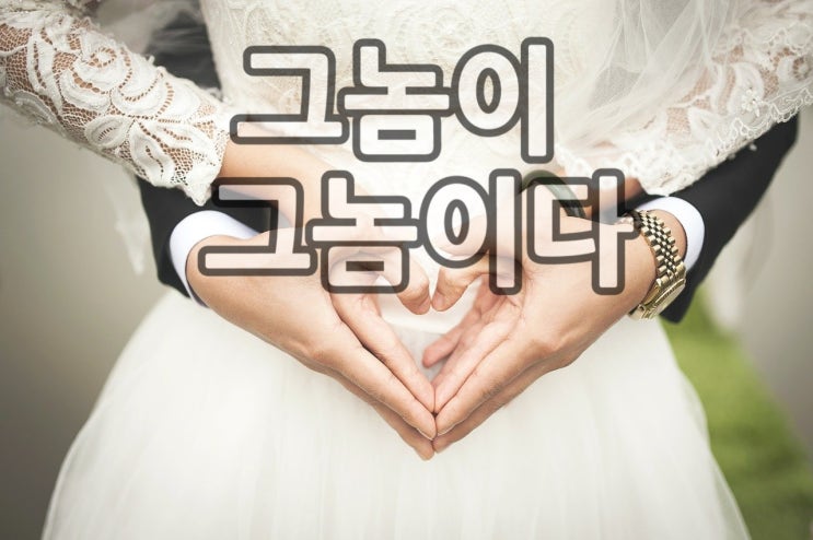  그놈이 그놈이다 황정음 윤현민 비혼소재의 로맨스드라마