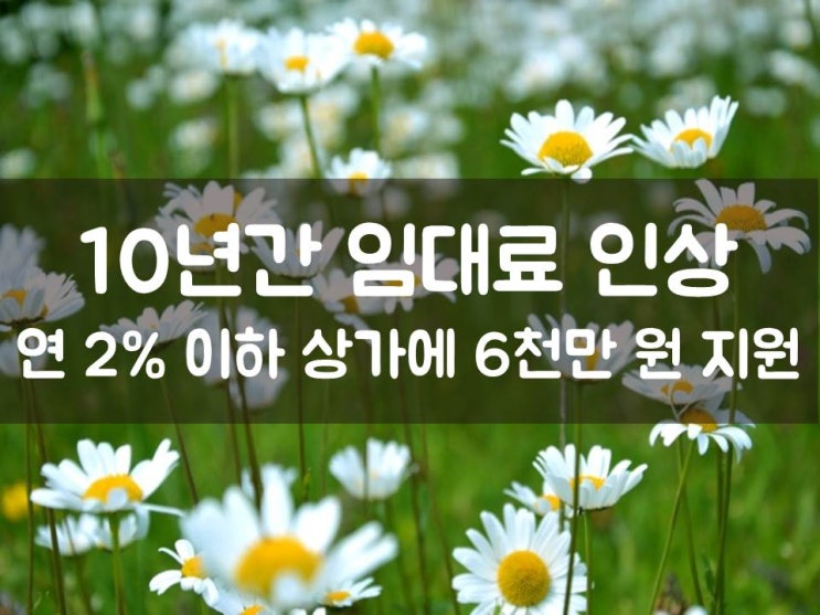  10년간 임대료 인상 연2%이하 상가에 6천만원 지원