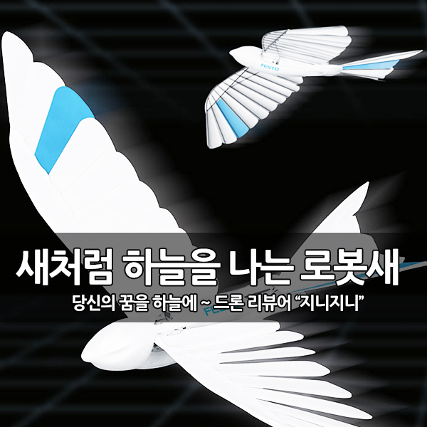 깃털로 새처럼 하늘을 나는 바이오닉 로봇새 개발 깃털로 새처럼 하늘을 나는 바이오닉 로봇새 개발