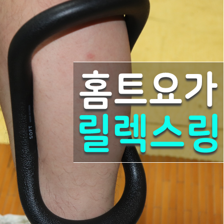  일상공감 릴렉스링 홈트 종아리 요가링 운동기