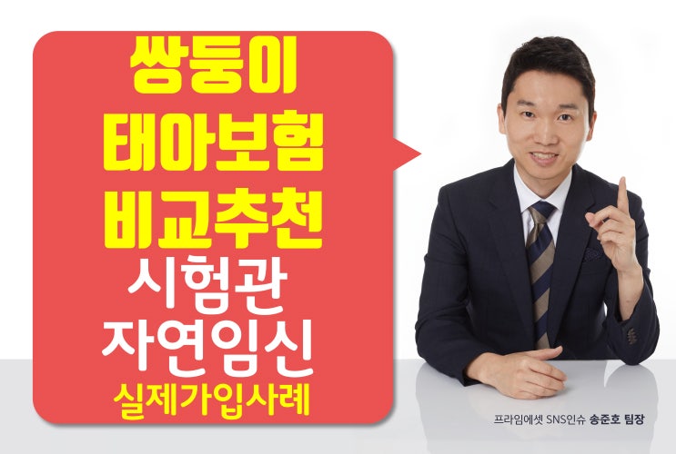  쌍둥이태아보험 추천 설계안 공유합니다 ( 자연임신 인공수정 시험관 )