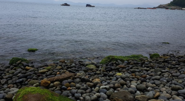 바다고동 삶는 법, 보관 방법
