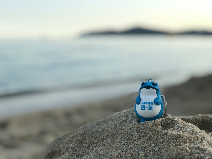  진로 소주 두꺼비와 1박2일 부산여행