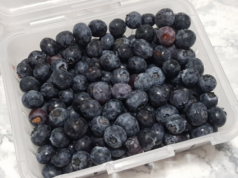 눈에 좋은 음식 블루베리 효능 먹는 11