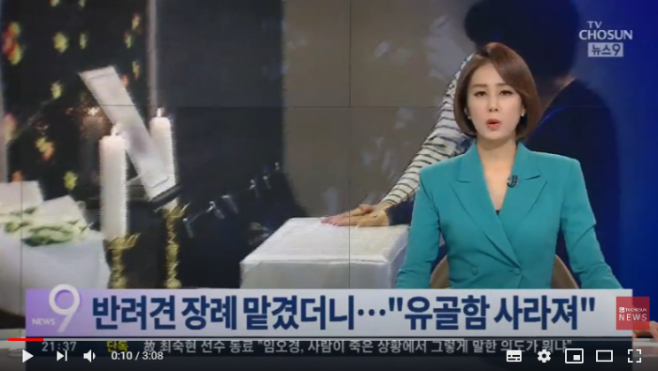 "13년 반려견 유골함 없어져"…반려견 장례업체 피해 속출 / TV CHOSUN "13년 반려견 유골함 없어져"…반려견 장례업체 피해 속출 / TV CHOSUN