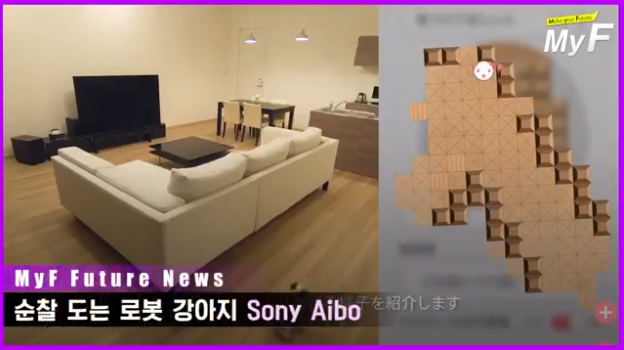  순찰도는 로봇 강아지, 소니 아이보 Aibo