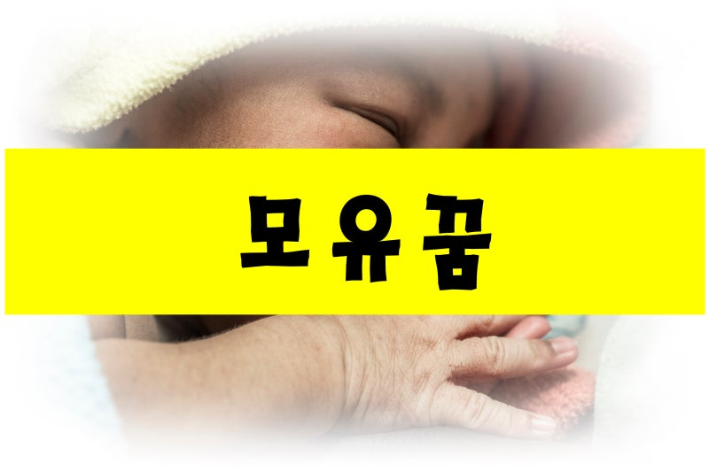 어머니의 사랑과 노력인 모유! 모유꿈은?